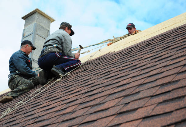 Best Roof Repair Services  in Nanuet, NY